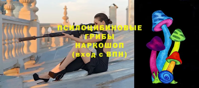 Псилоцибиновые грибы Magic Shrooms Венёв